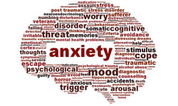Anxiety Disorders In Depth